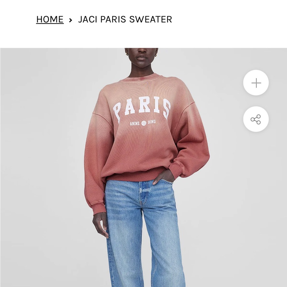 Anine Bing Jaci Paris sweatshirt